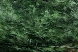 Polished Jade (Nephrite) Palm Stone - Afghanistan #221012-1
